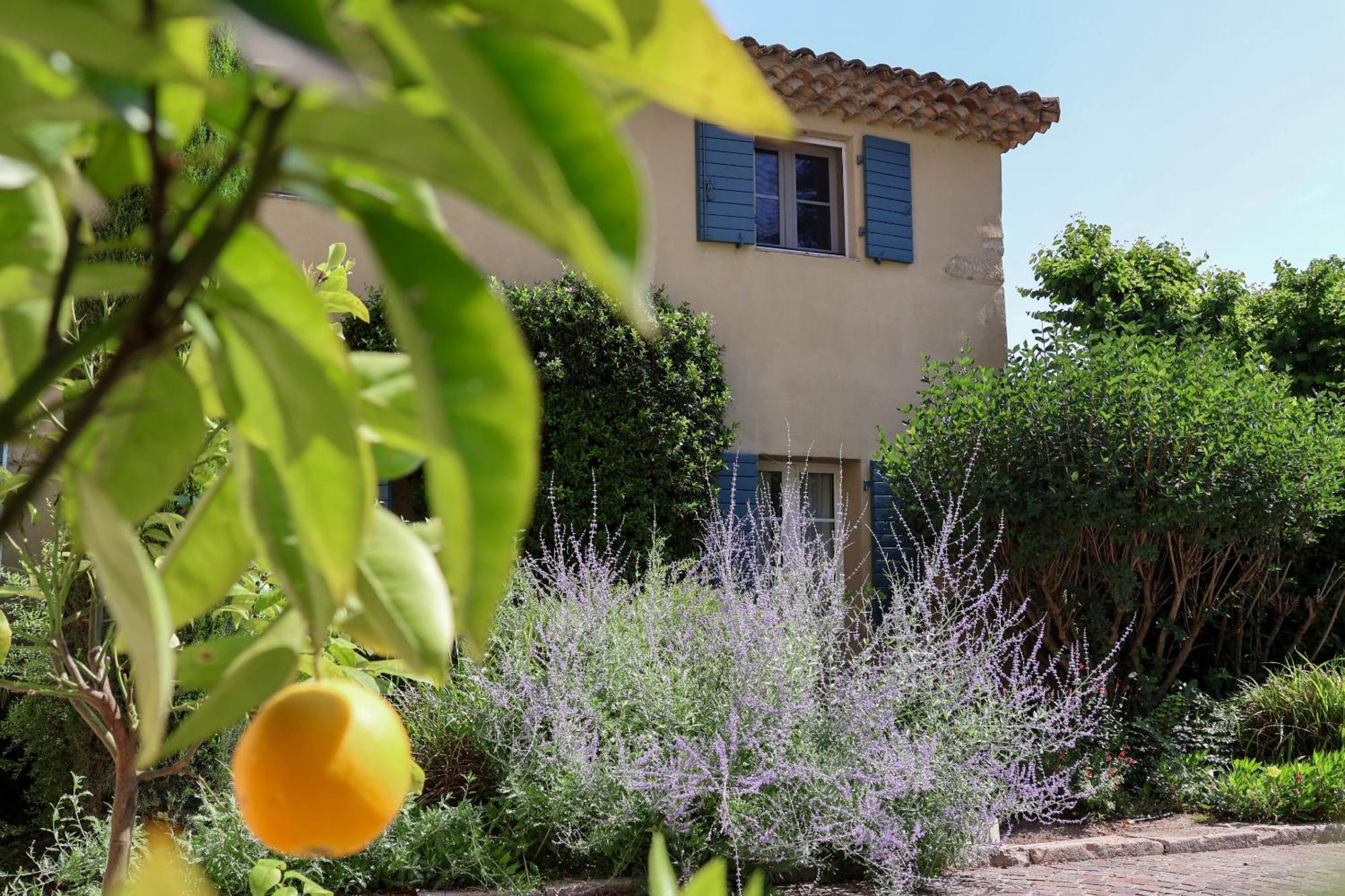 Domaine Du Moulin De Villefranche Pernes-les-Fontaines Ngoại thất bức ảnh